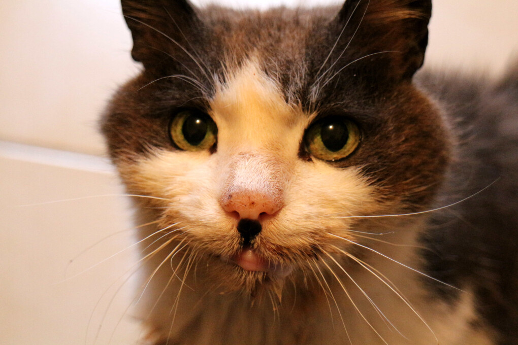 5851985.jpg 5851985.jpg