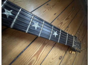 Gibson Chet Atkins SST (58559)