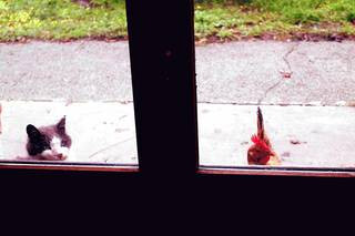 5853234.jpg 5853234.jpg