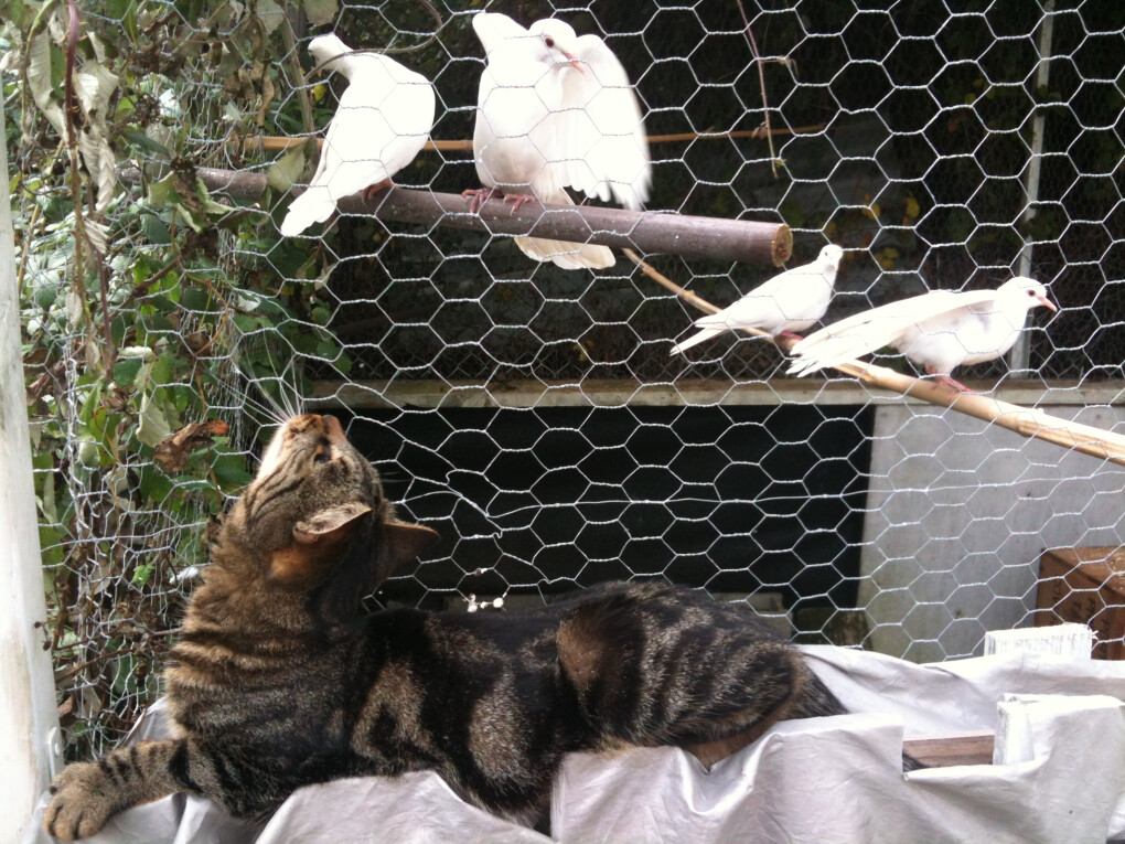 5853245.jpg 5853245.jpg