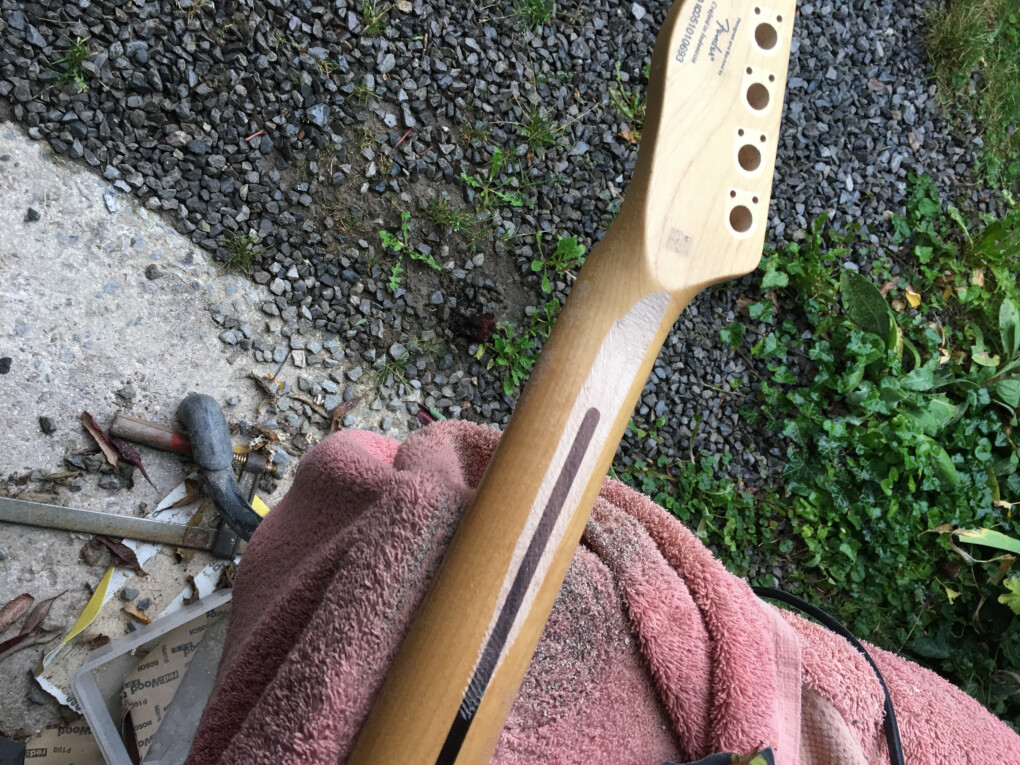 5853531.jpeg 5853531.jpeg