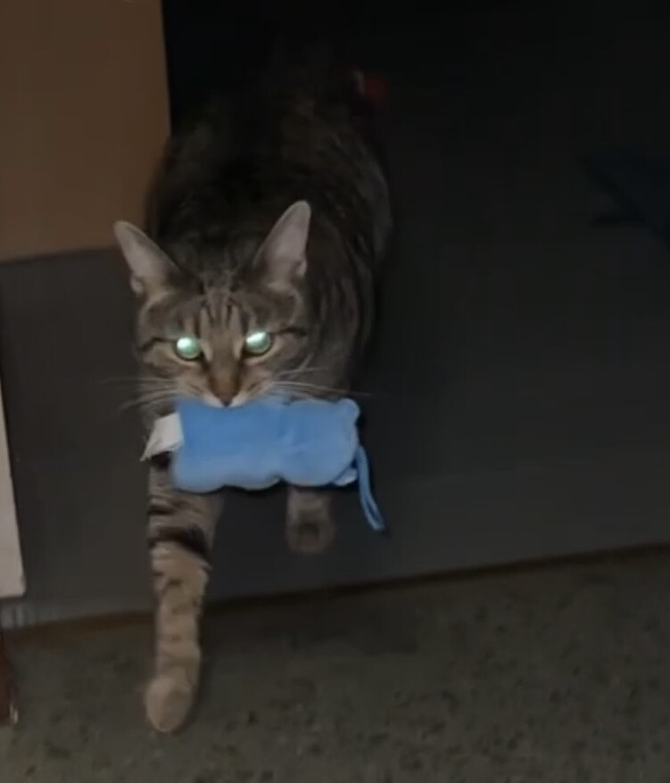 5853690.jpeg 5853690.jpeg