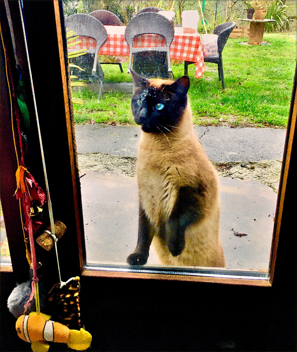 5854649.jpg 5854649.jpg