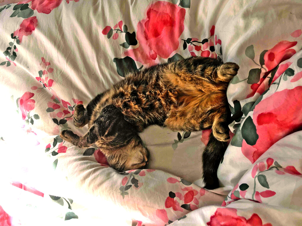 5854652.jpg 5854652.jpg