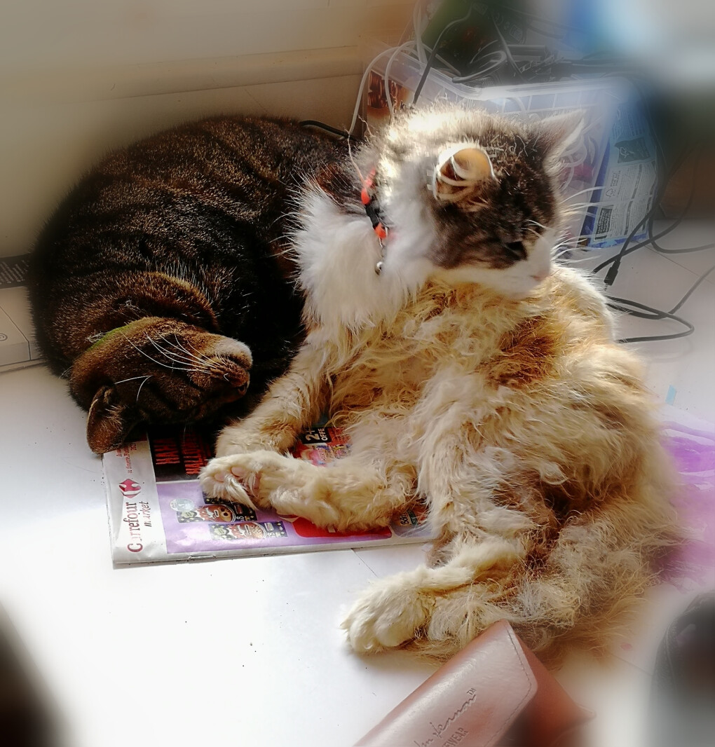 5854872.jpg 5854872.jpg