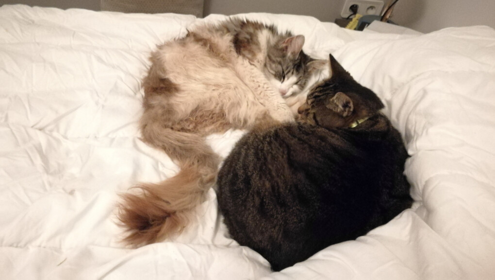 5854873.jpg 5854873.jpg