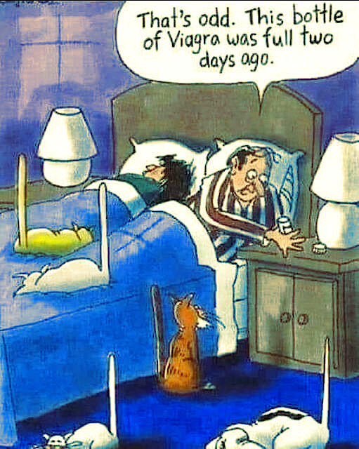 5855398.png 5855398.png