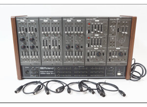 Roland system 100m 1