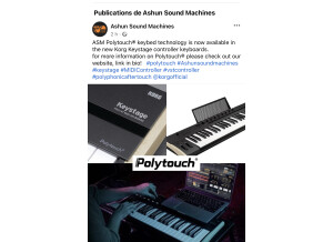 Korg Keystage 61 (62190)