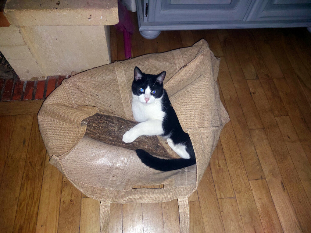 5856070.jpg 5856070.jpg