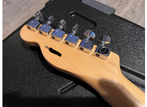 Fender American Professional Telecaster (15193)