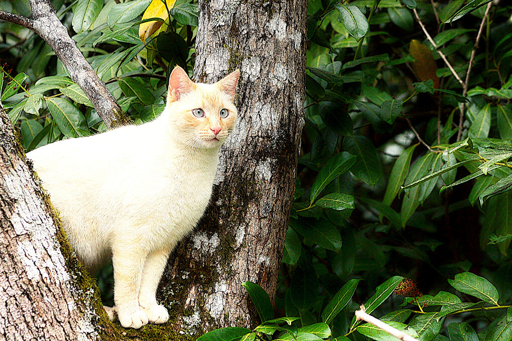 5856527.jpg 5856527.jpg