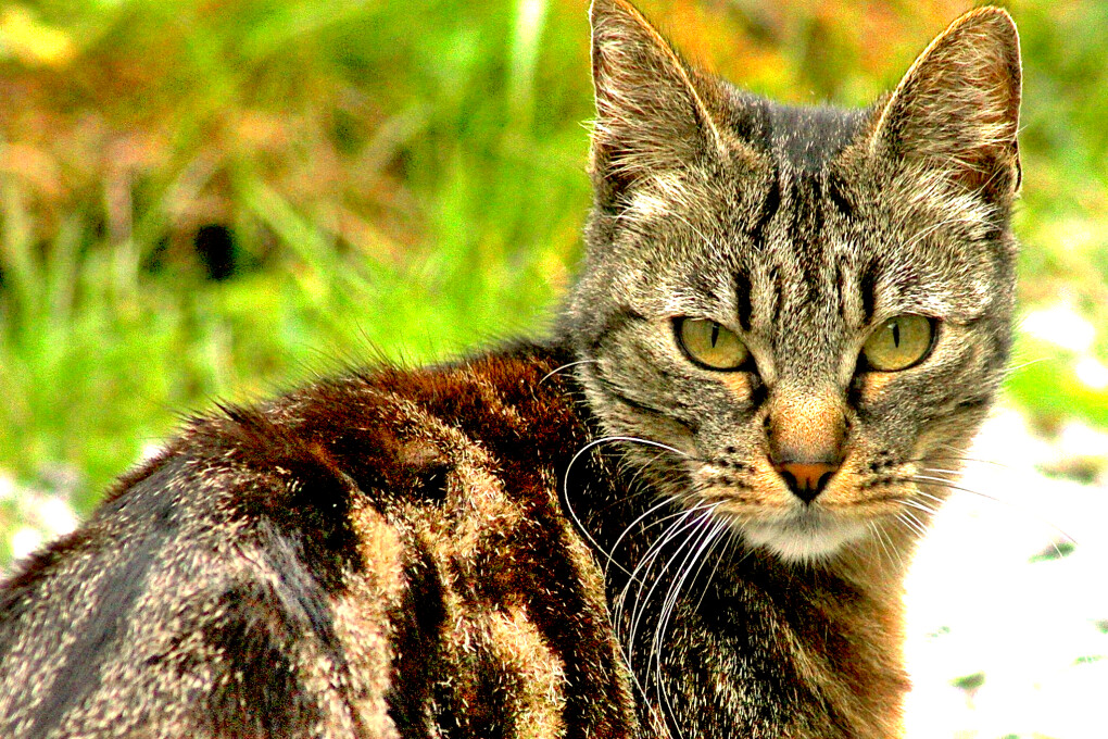 5856770.png 5856770.png