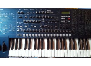 Korg MS2000 (41725)