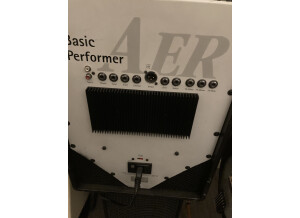 AER  Basic Performer