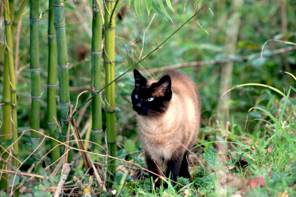 5858435.jpg 5858435.jpg