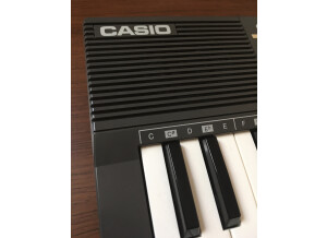 Casio MT-100 (20830)