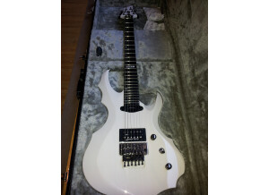 ESP Forest-GT - See Thru White (1648)