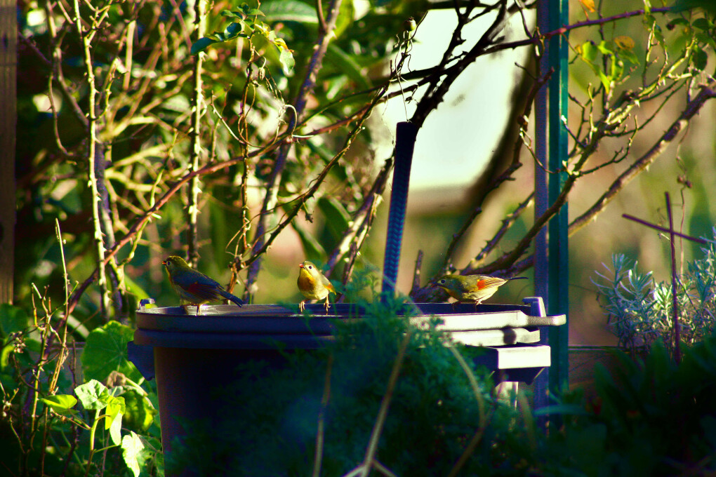 5859031.jpg 5859031.jpg