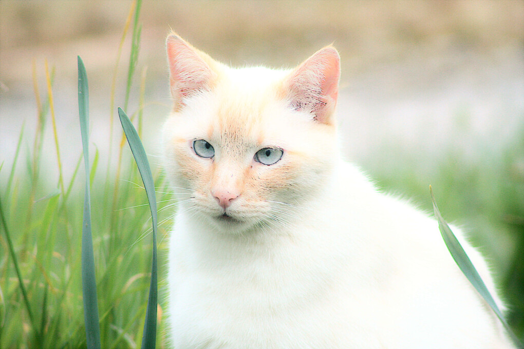 5859032.jpg 5859032.jpg