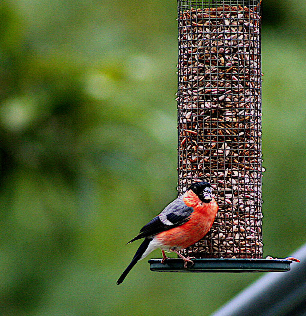 5859065.png 5859065.png