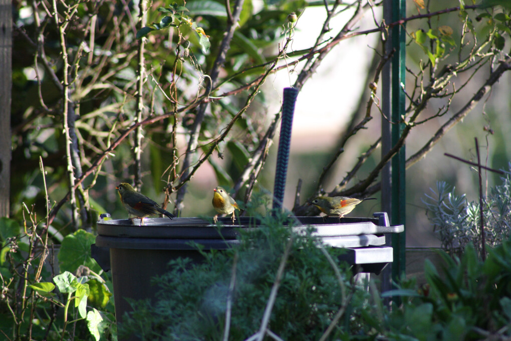 5859066.jpg 5859066.jpg