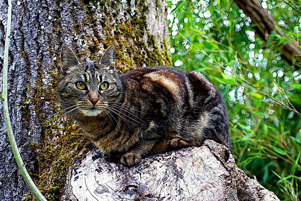 5859072.jpg 5859072.jpg