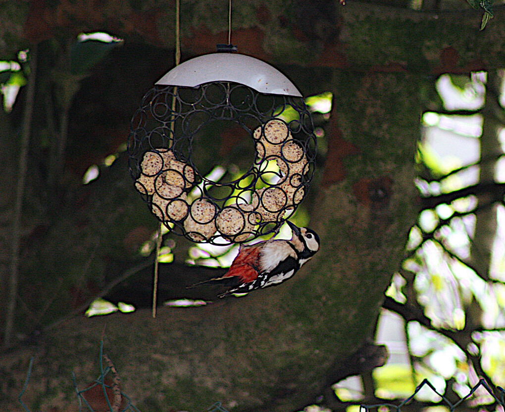 5859558.png 5859558.png