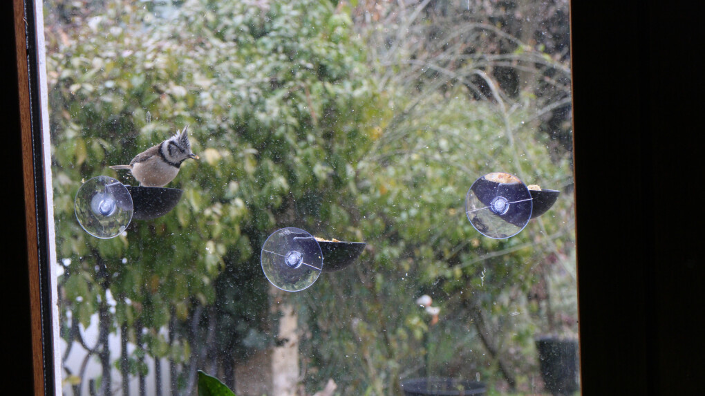5860133.jpg 5860133.jpg