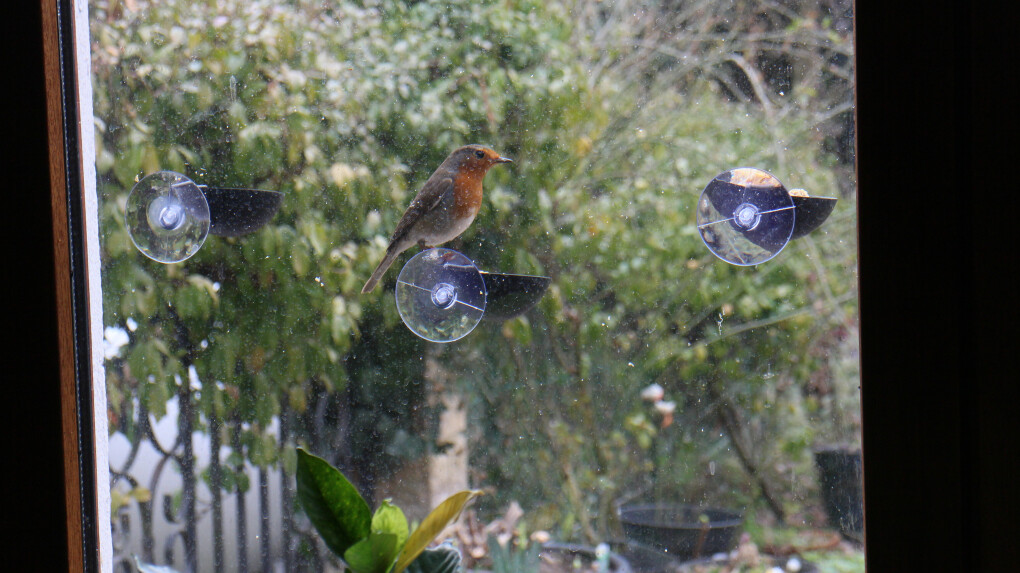 5860134.jpg 5860134.jpg
