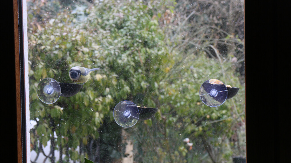 5860135.jpg 5860135.jpg