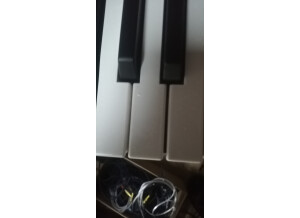 IMG 20231029 144428