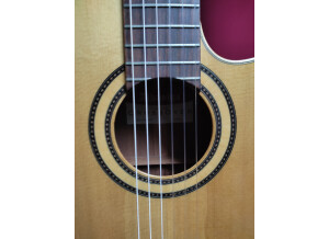 Alhambra Guitars CS-1 CW E2 (73585)