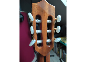 Alhambra Guitars CS-1 CW E2 (15857)