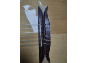 Alhambra Guitars CS-1 CW E2 (16766)