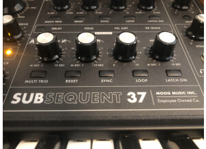 Moog Music Subsequent 37