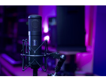 Slate Digital ML-1 (5539)