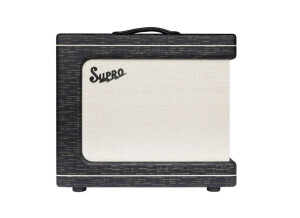 Supro Delegate Custom