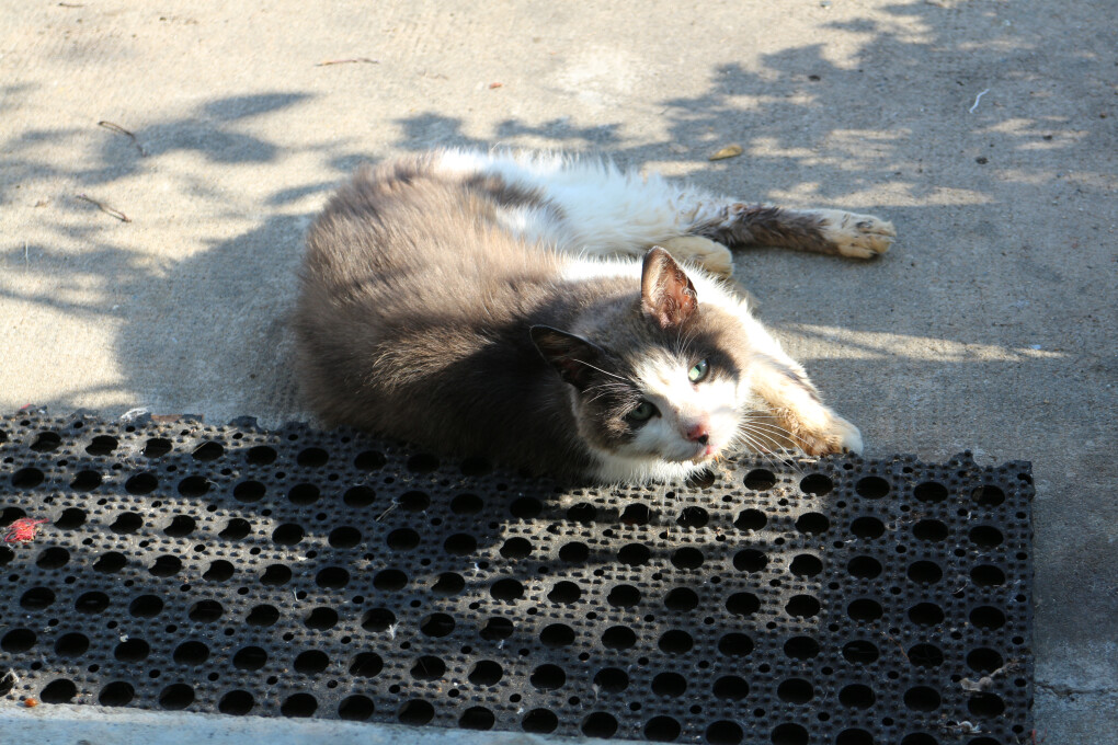 5863363.jpg 5863363.jpg