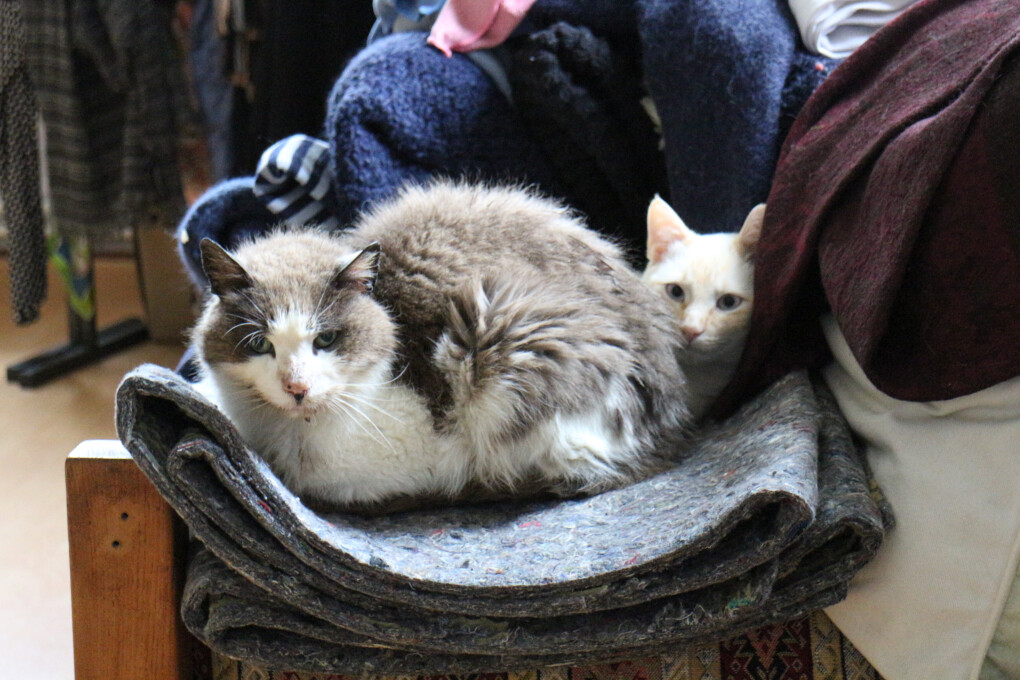 5863364.jpg 5863364.jpg