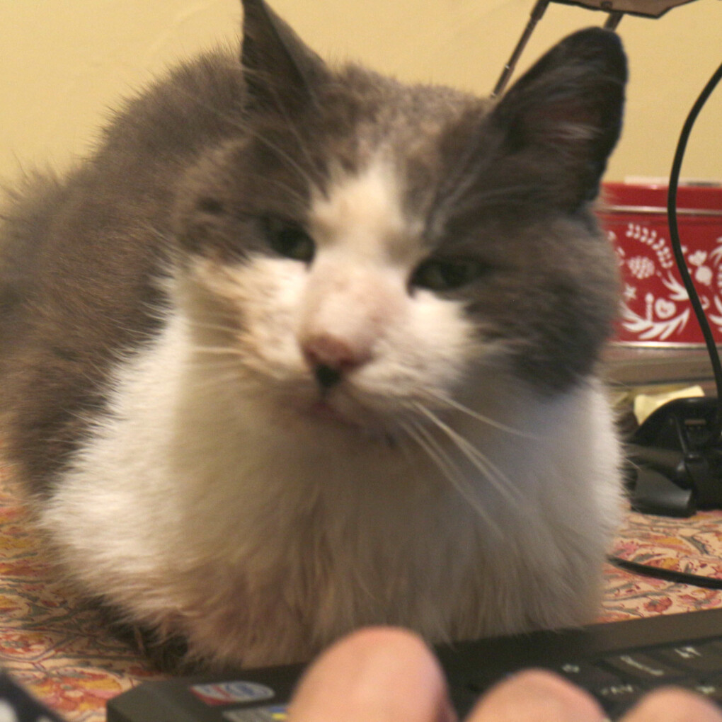 5863365.jpg 5863365.jpg