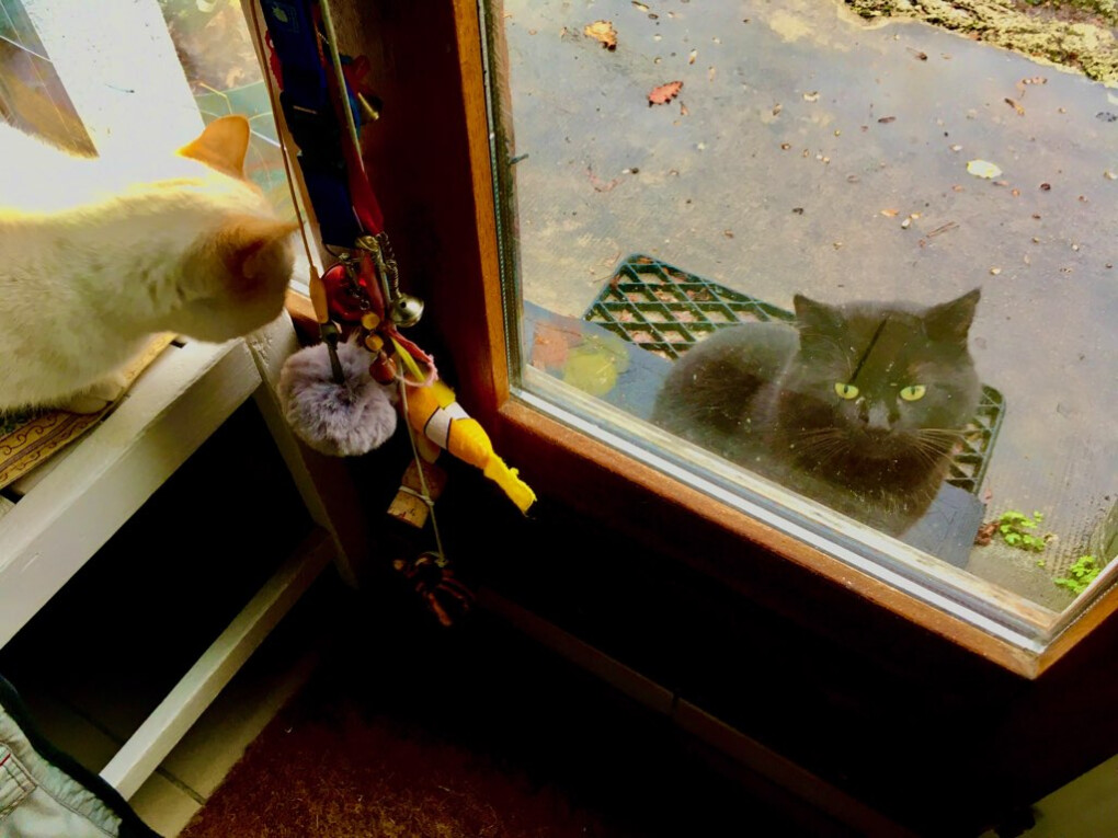 5863374.jpg 5863374.jpg