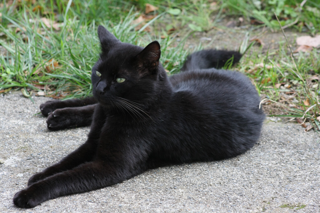 5863378.jpg 5863378.jpg