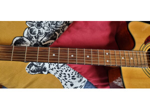Guitare électro-acoustique Fender DG-14SCE 04