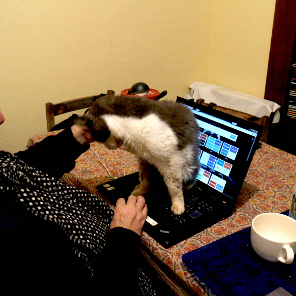 5863718.jpg 5863718.jpg