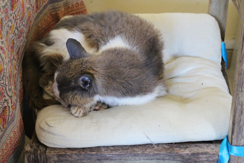 5863721.jpg 5863721.jpg