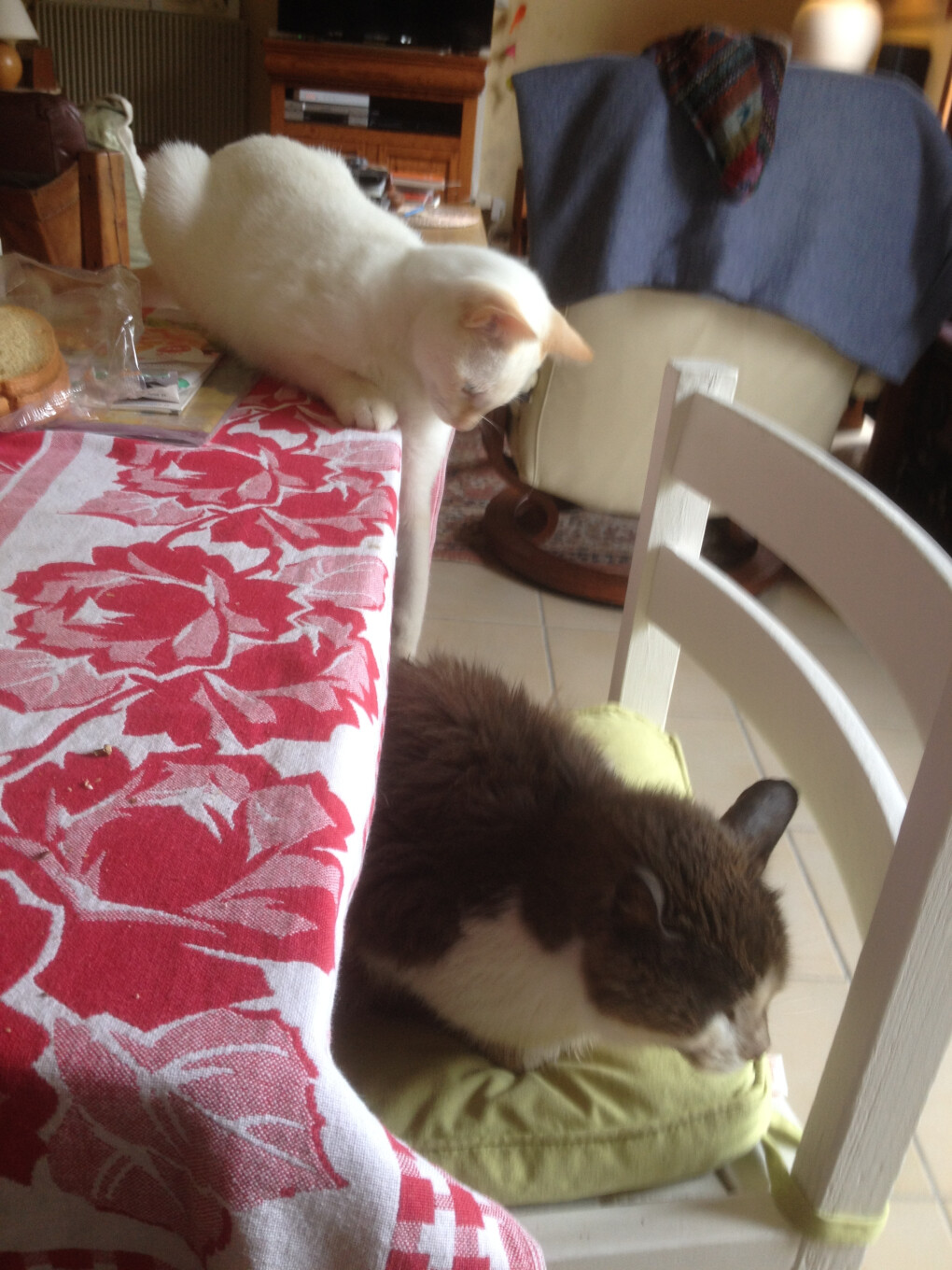 5863751.jpg 5863751.jpg