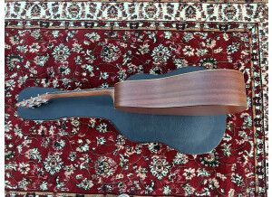 Martin & Co DX1AE (65939)