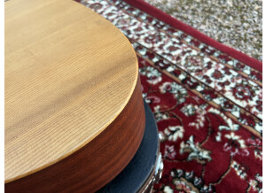 Martin & Co DX1AE (45106)