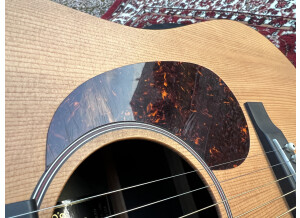 Martin & Co DX1AE (53225)